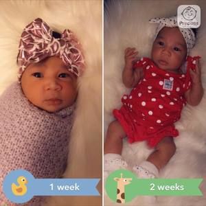 Meet your Posher, Alberto